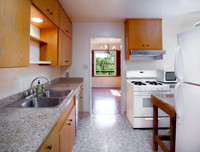 CASTRO-4627TalmadgeDr-San Diego-Mar2020-MLS-Size-007